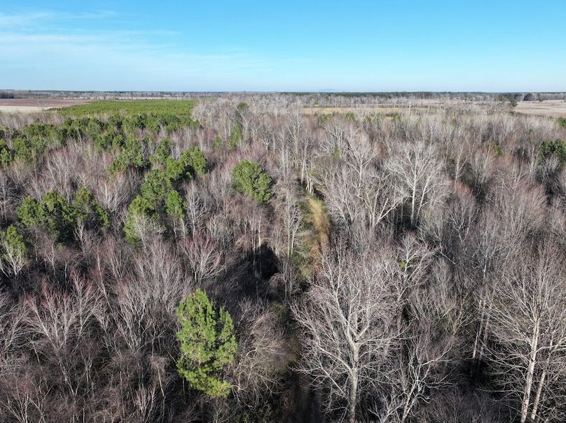 DJI_20260101162359_0317_D