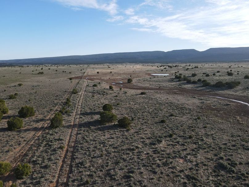 dji_fly_20240504_073742_318_1714829875729_photo