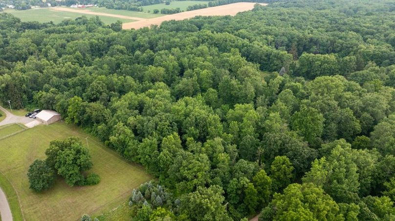 LivingstonMI41.75-20