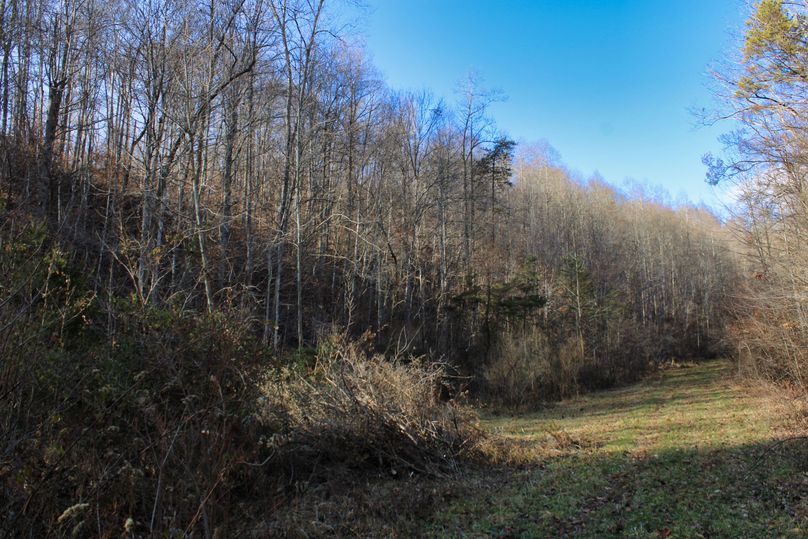 014 nice hardwood hillsides
