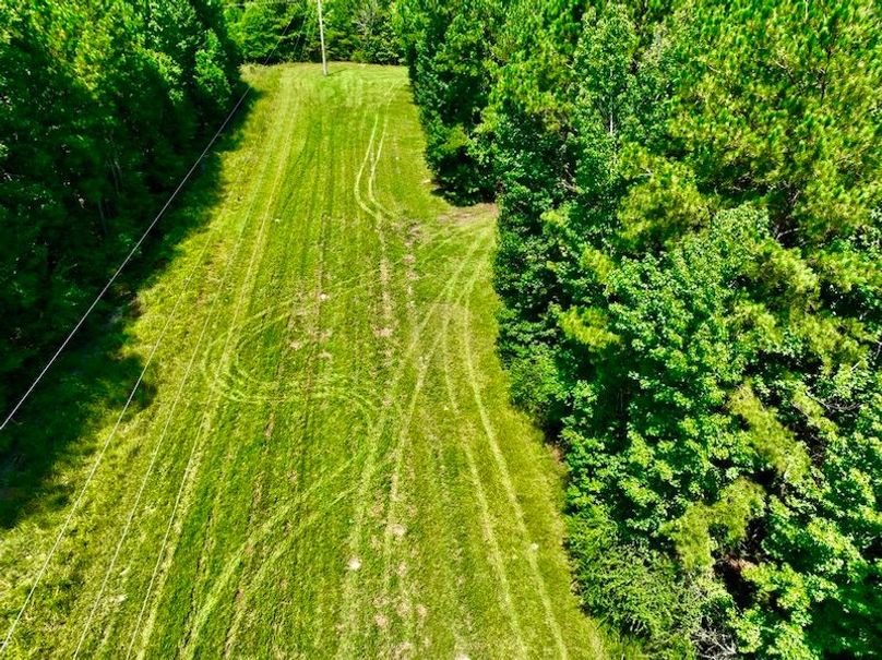 242EAAF4-66A8-4AEF-9607-58551EC3E155_1_105_c