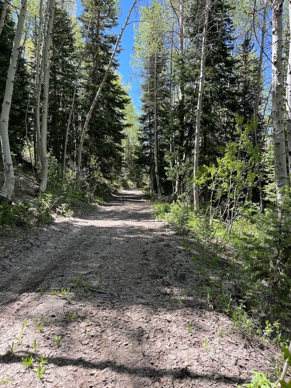 8 photo sanpete 795