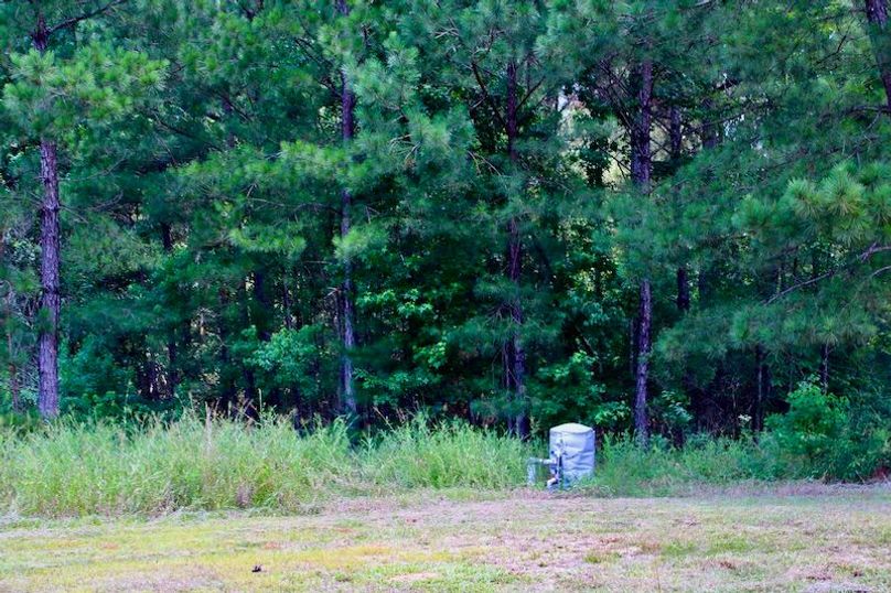 18F6C537-8AA8-4797-BAA7-6FBD59A3AD7C_1_201_a