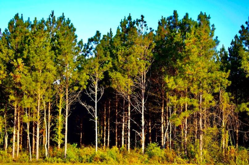 BAFFA8E0-C7B2-4DA7-8B58-F75807AF6DEF_1_105_c