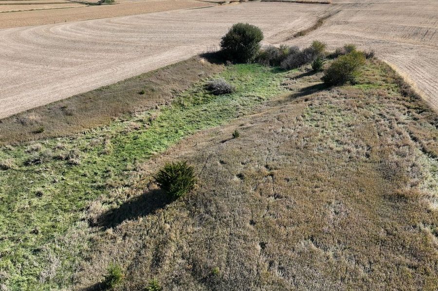 DJI_0263