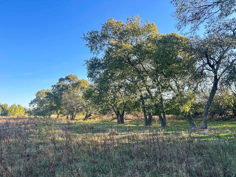 Hunt County- 44.51 acres (20 of 29)