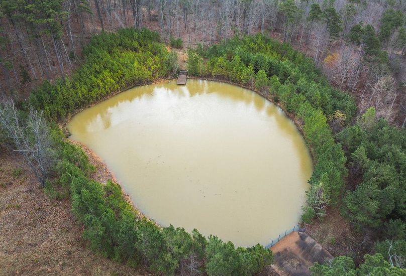 DJI_20250403123712_0593_D