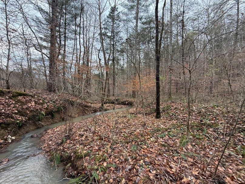 018 view of the stream in the north part of the property