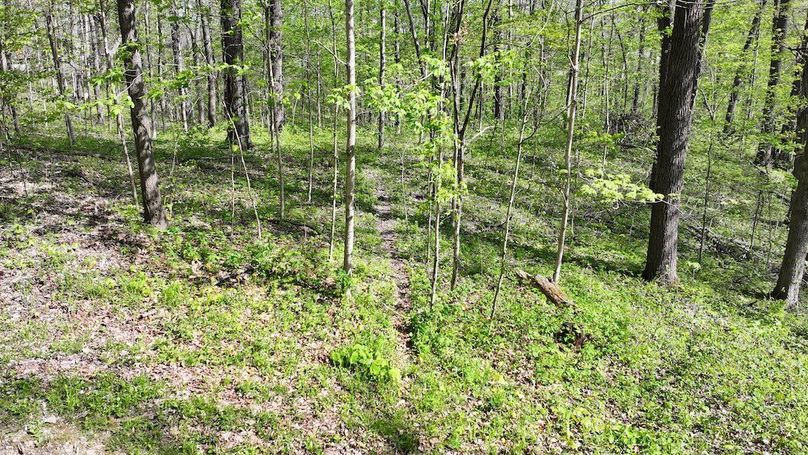 dji_fly_20260423_164228_0258_1776977089998_photo