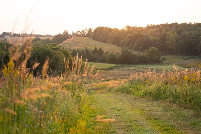 Cedar IA 152 Featured Z27