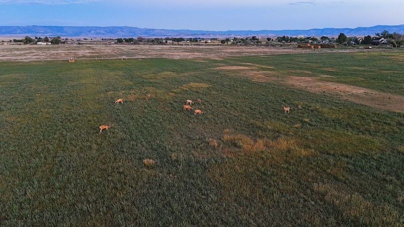 DJI_20240810062005_0018_D