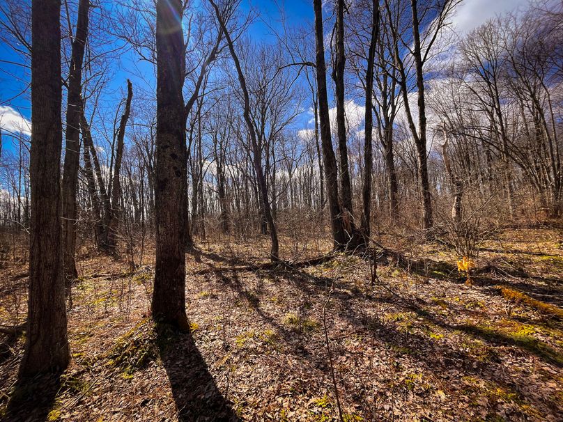 Oswego_165.52_Lashomb_Photos_8