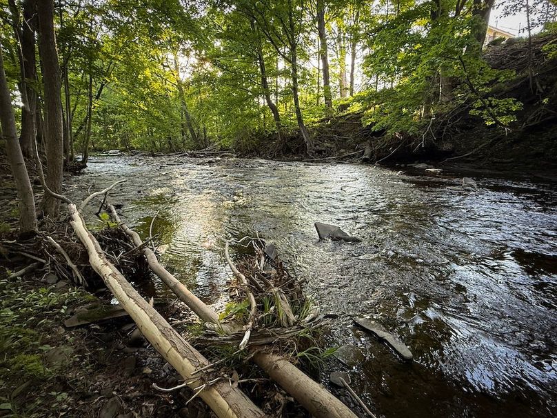 Oswego_3.8_Paro_Photos_38