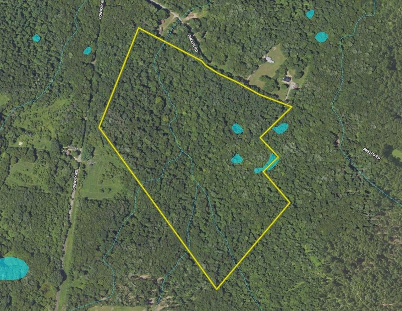 Screen Shot 2023-10-21 at 10.31.18 AM