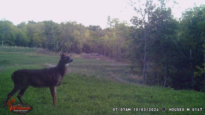 TRAIL CAM 6