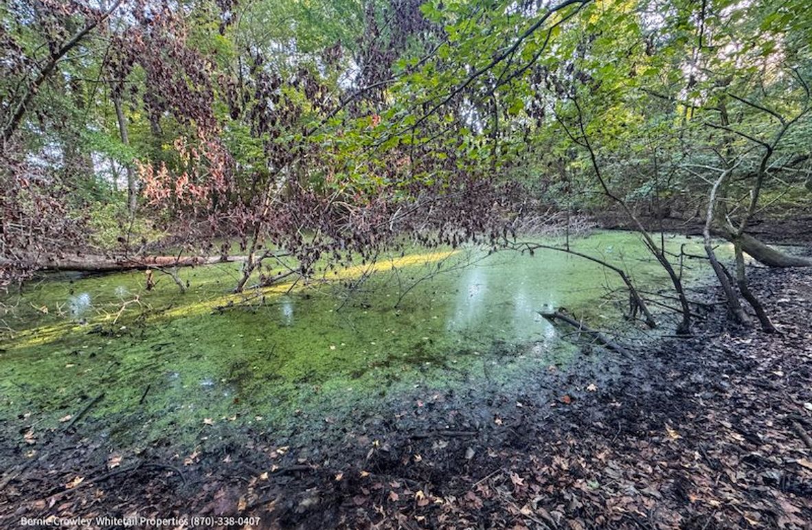 DeSoto 109 Prewett -5