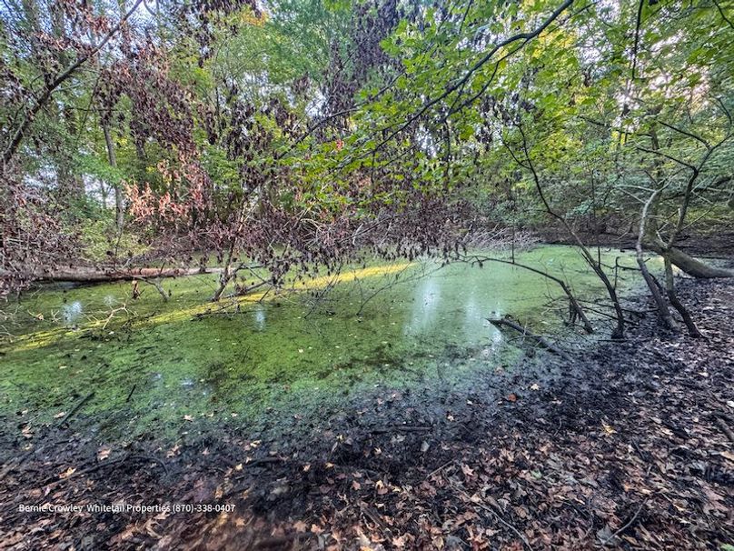 DeSoto 109 Prewett -5