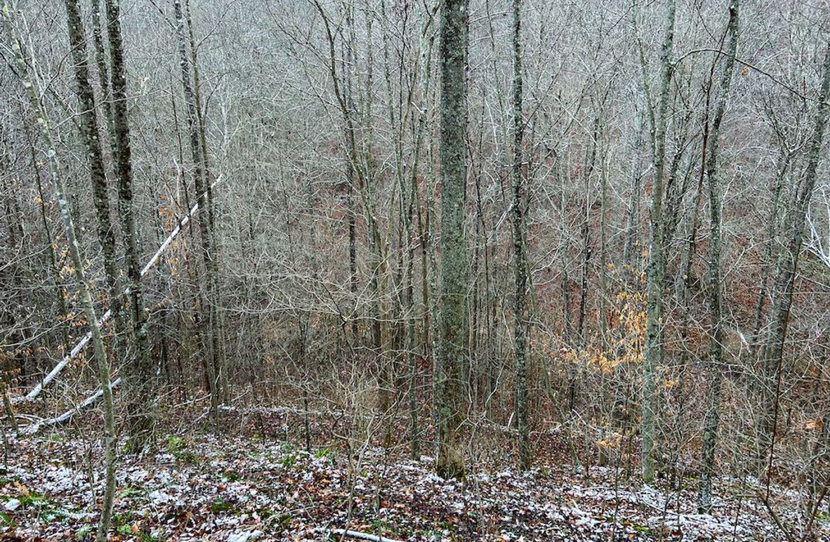 Braxton, WV 82 AC Greene -04