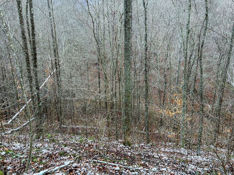 Braxton, WV 82 AC Greene -04