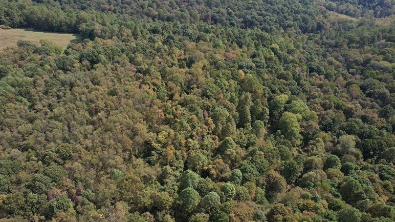 dji_fly_20250916_115120_741_1758038503538_photo