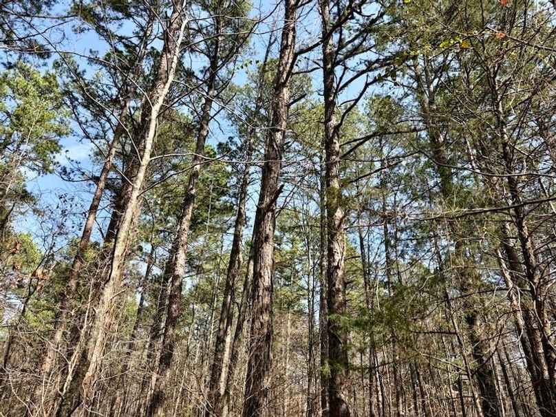 51AE0D9E-7EDD-4343-924C-8648EF327A6F_1_105_c