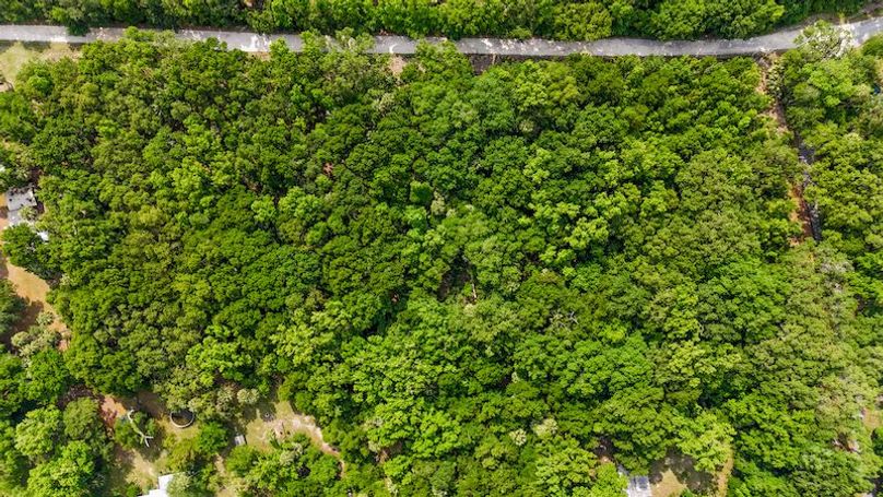 1.01ac, Citrus, Josiah Ronco23