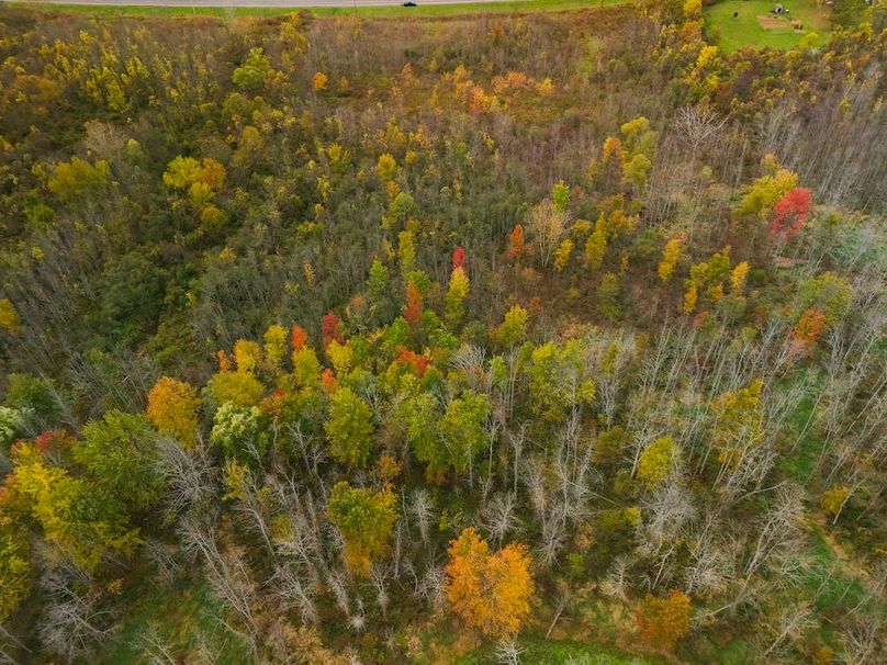 Wayne_29.09_BD_LandNorth_Parcel_15