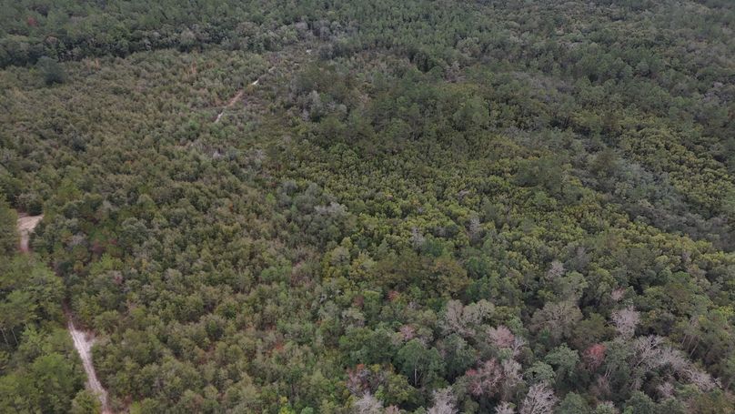 DJI_20231117115519_0020_D