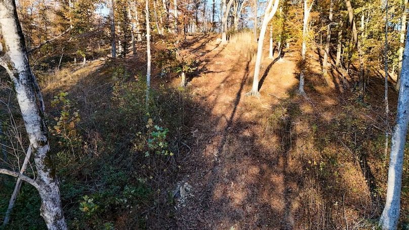 DJI_20251111155151_0059_D