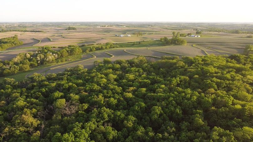 PAGE CO IA 130+_-_52