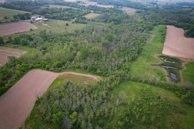 Ontatio_73.3_Green Photo 13