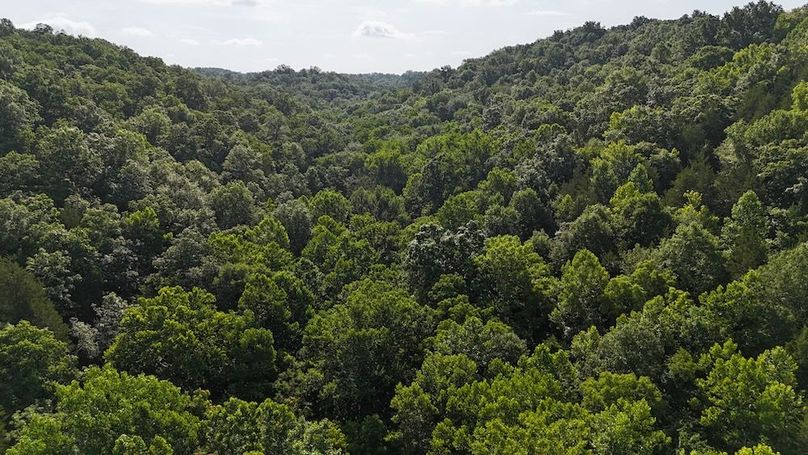 DJI_20250712102149_0773_D