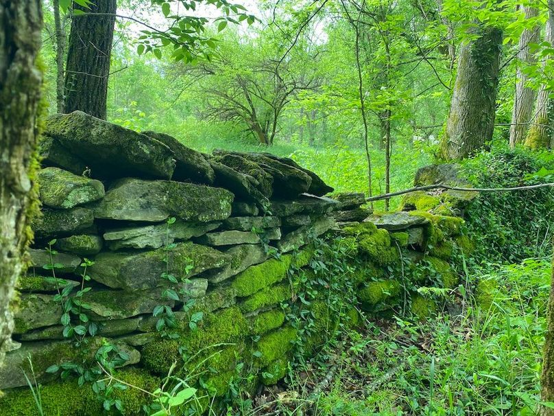 016 and old stone fence along the east tract area boundary copy