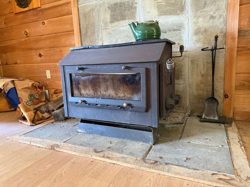 Tioga NY 232.62 Shores Photos 11