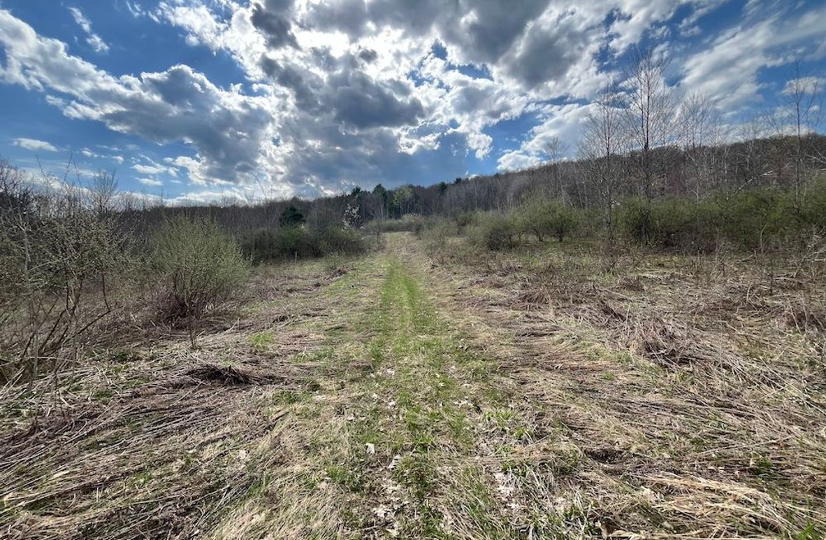 Chemung_100_Nye Photo 5