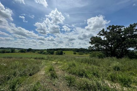 Mixed Use Property With Tillable, Pasture, Buildings On The  Illinois/Wisconsin Border | Whitetail Properties