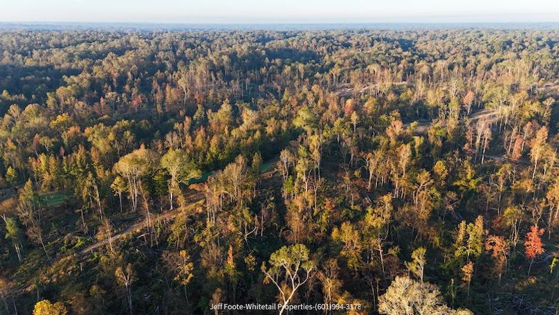 Claiborne Co-151-Geronimo-39