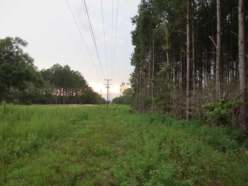 9AC01A6A-691F-4DD4-AC6E-690F5BA82368_1_105_c