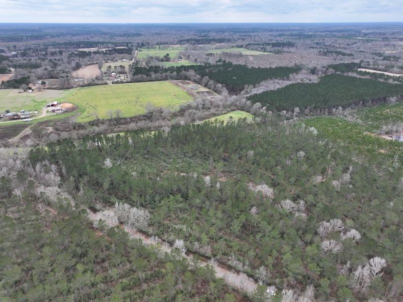 dji_fly_20260217_131916_0096_1771436912230_photo