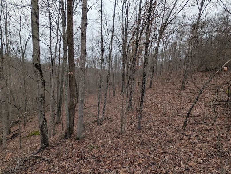 PXL_20260107_204727805