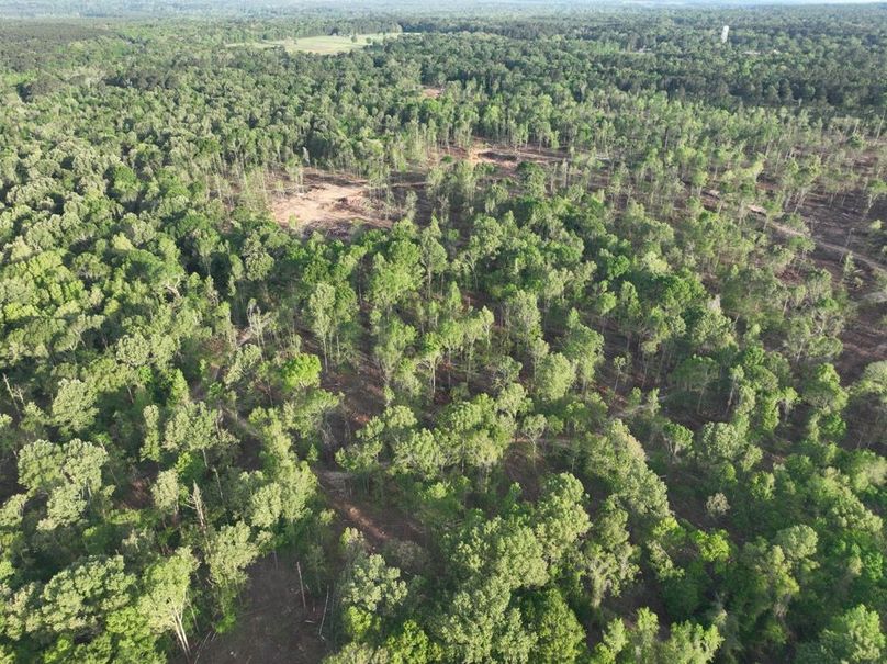 dji_fly_20260407_083520_359_1775580321917_photo