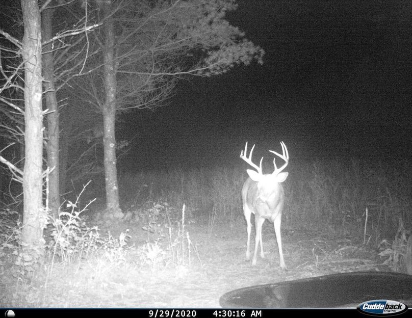 Copy of I__00037 copy