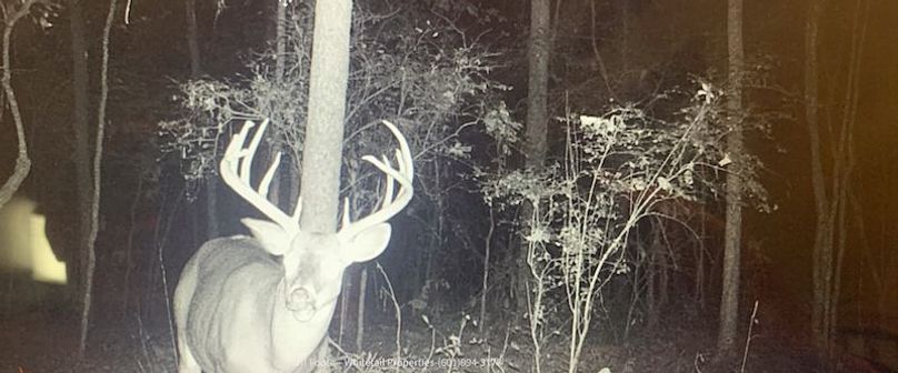 Hinds - 25.48 - Hank Beasley-18