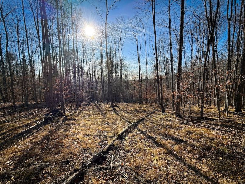 Chemung_31.75_Seymour_South_Photos_20