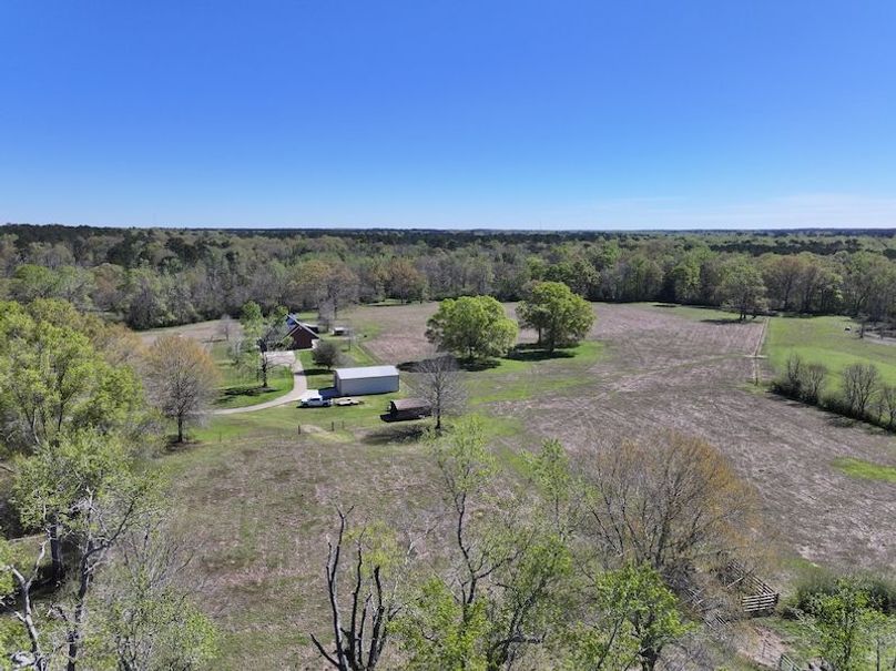 dji_fly_20260317_094152_0416_1773768871369_photo