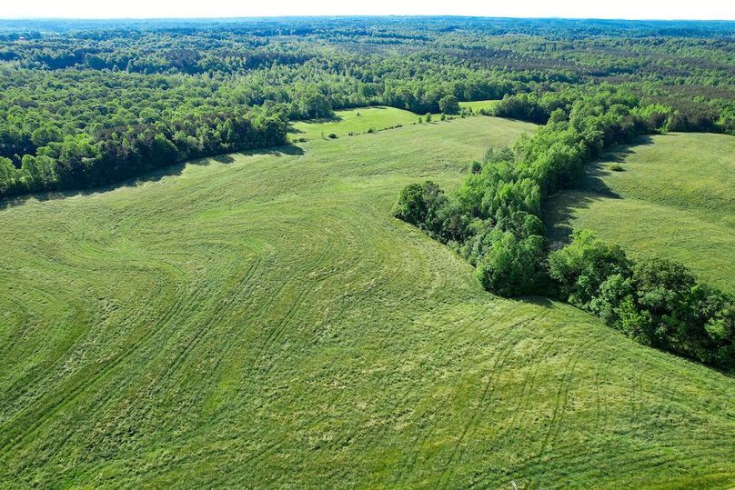 Haralson GA 100 McIntyre-41