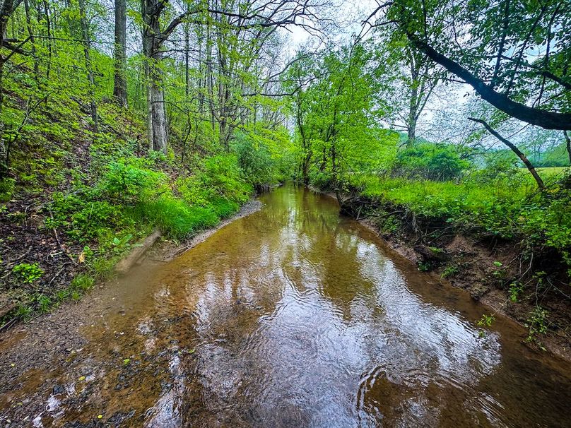 Lewis, WV 34.74 AC Graham-07