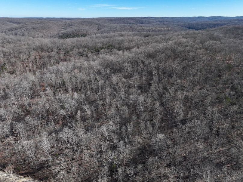 DJI_20251219113830_0886_D