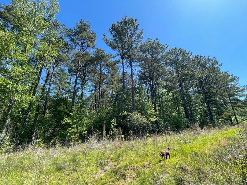 F9CDADC7-BD12-4BDB-8BD4-77A788F1B019_1_105_c