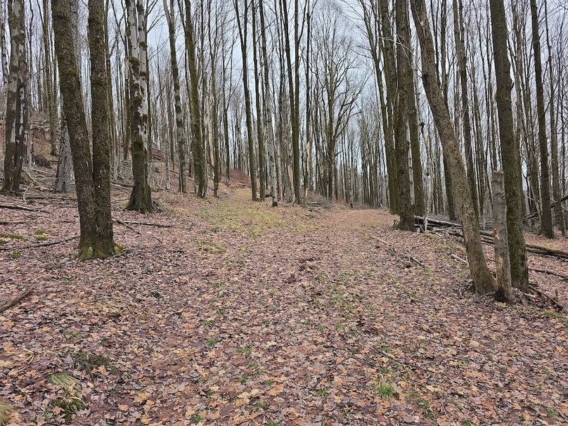 photo_0c4b85ed-bd11-4907-a244-6457fdcd184f